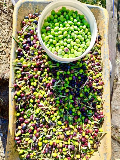 Image No.122-6 Bed Villa for sale