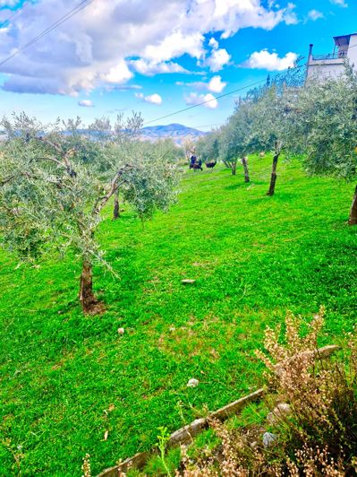 Image No.18-6 Bed Villa for sale