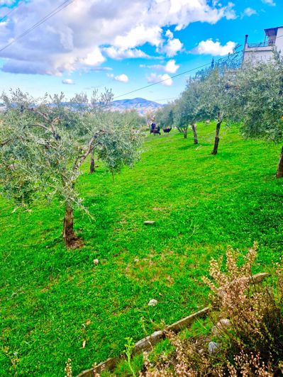 Image No.62-6 Bed Villa for sale