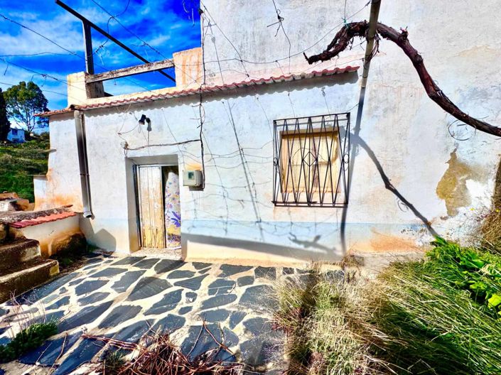 Image No.52-3 Bed House for sale