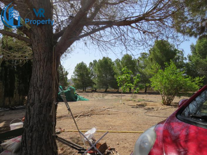 Image No.4-Finca de 3 chambres à vendre à Aspe