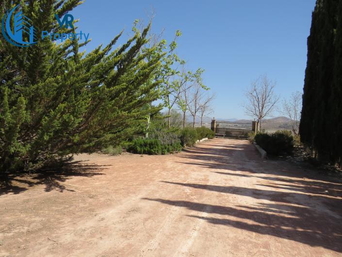 Image No.5-3 Bed Finca for sale