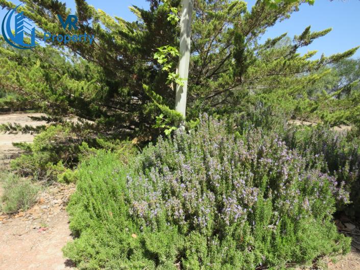 Image No.6-3 Bed Finca for sale