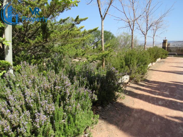 Image No.7-3 Bed Finca for sale