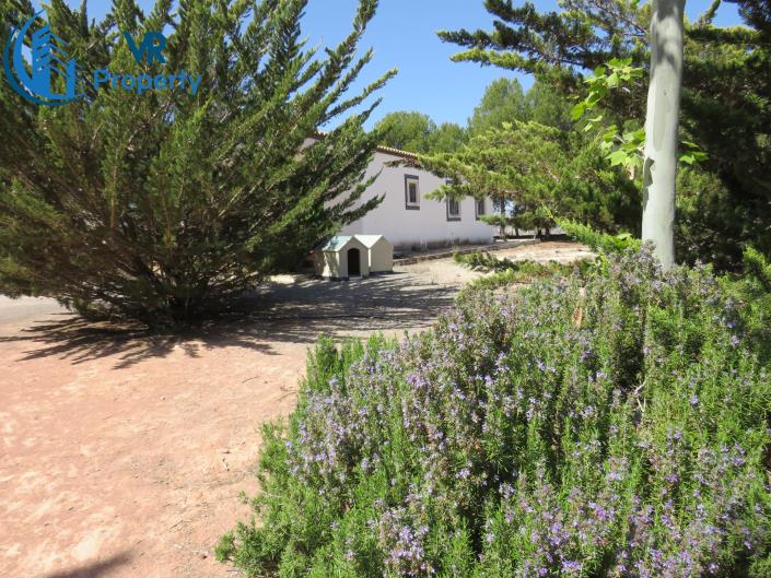 Image No.8-3 Bed Finca for sale