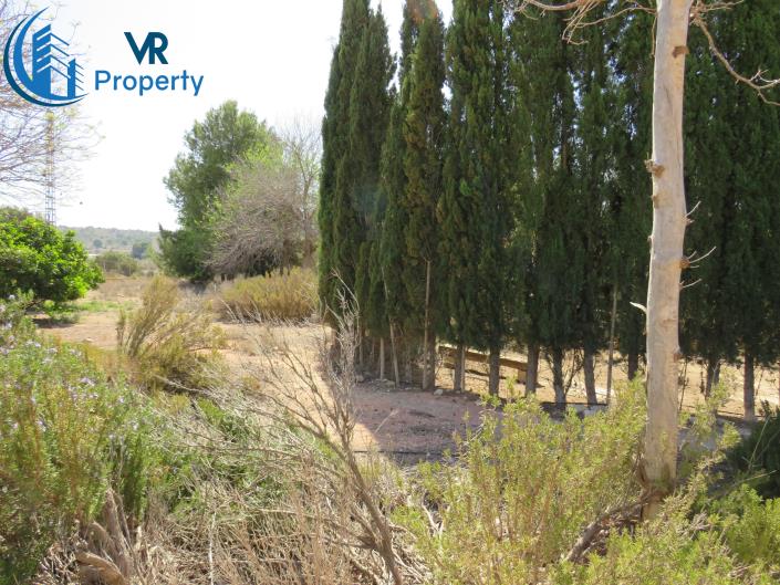 Image No.12-3 Bed Finca for sale