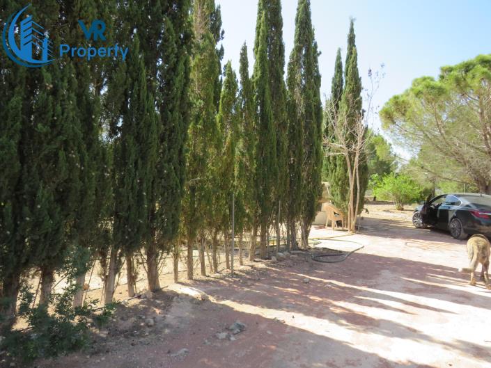 Image No.13-3 Bed Finca for sale