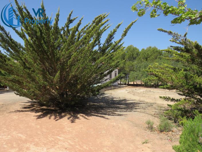 Image No.14-3 Bed Finca for sale