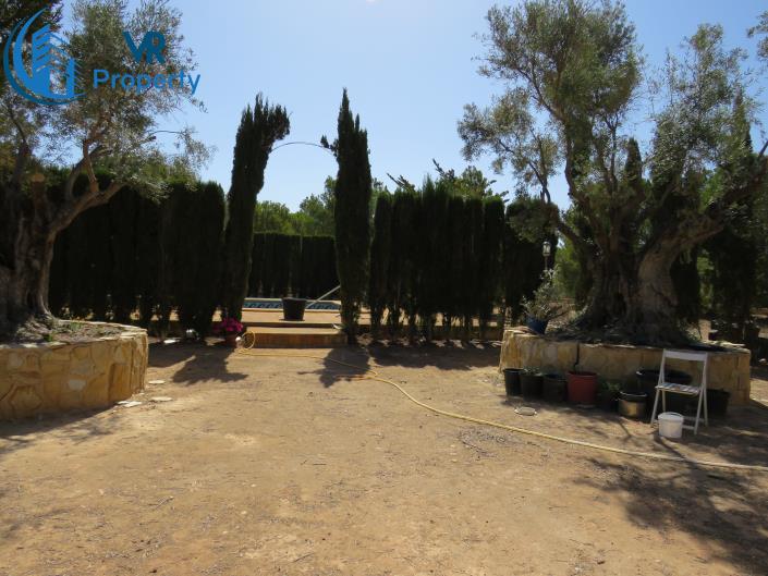 Image No.16-3 Bed Finca for sale