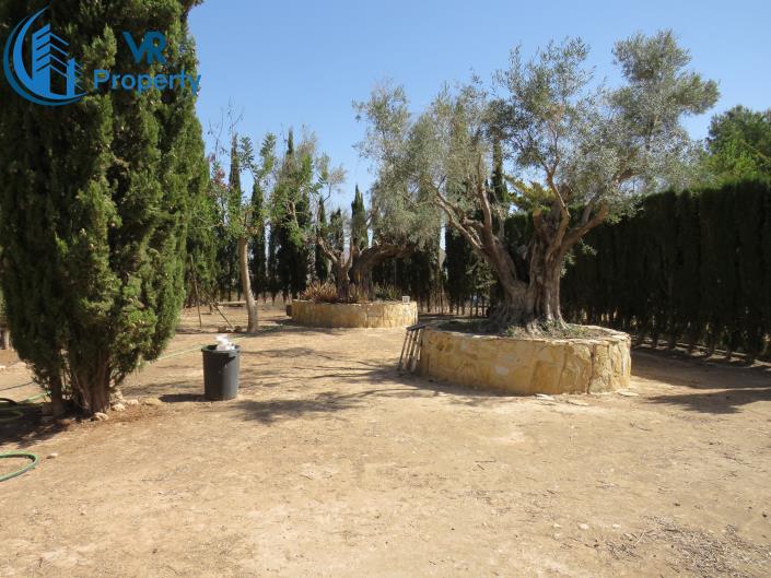 Image No.17-3 Bed Finca for sale