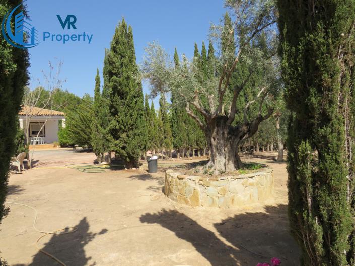 Image No.21-3 Bed Finca for sale