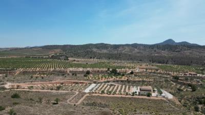 DJI_0074