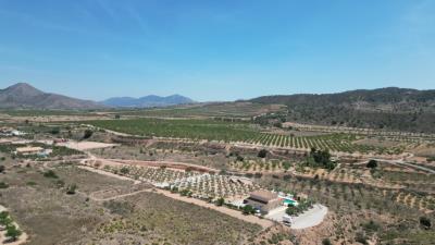 DJI_0075