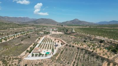 DJI_0077