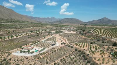 DJI_0078