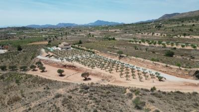 DJI_0081