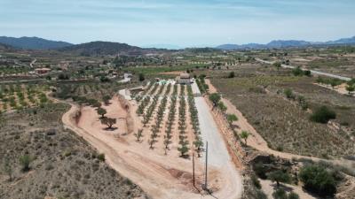 DJI_0082