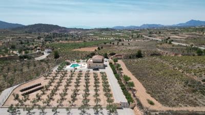 DJI_0084