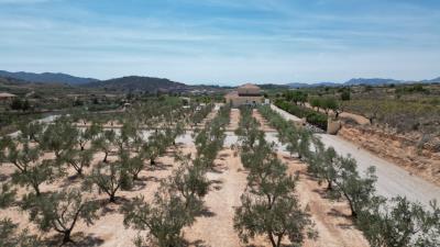 DJI_0085