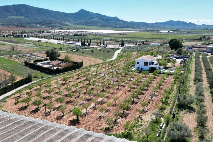 Image No.17-7 Bed Villa for sale