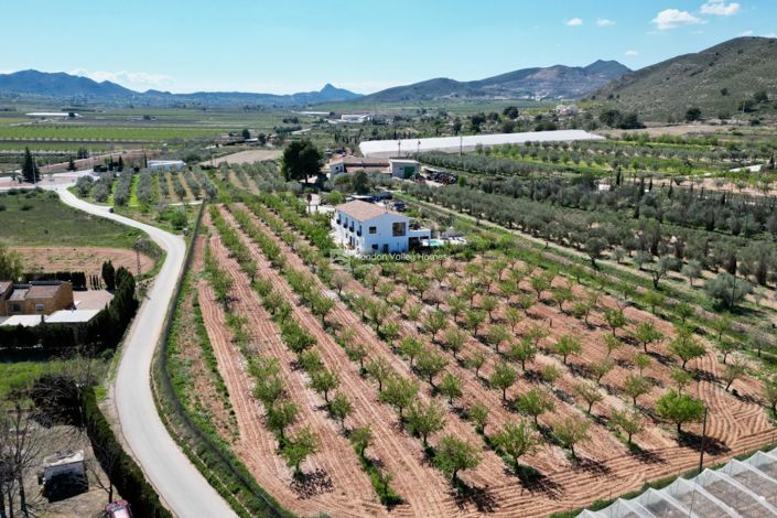 Image No.19-7 Bed Villa for sale