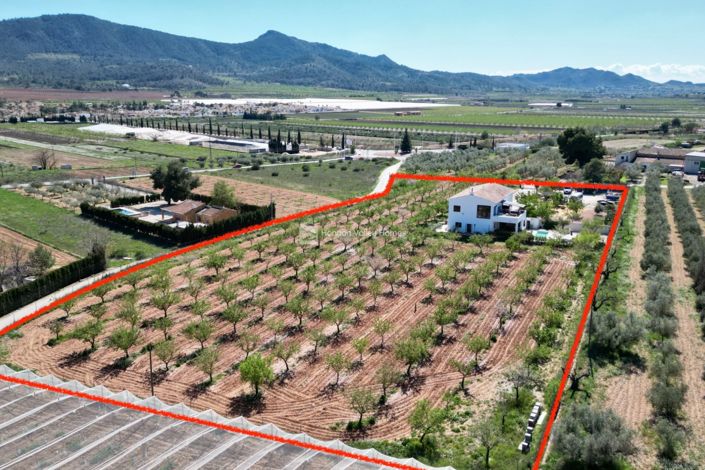 Image No.3-7 Bed Villa for sale