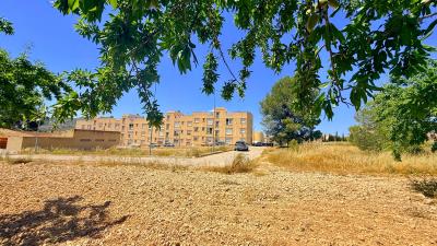IMG_4770-copy