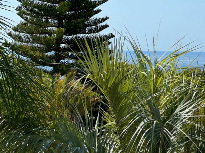 Image No.41-4 Bed Villa for sale