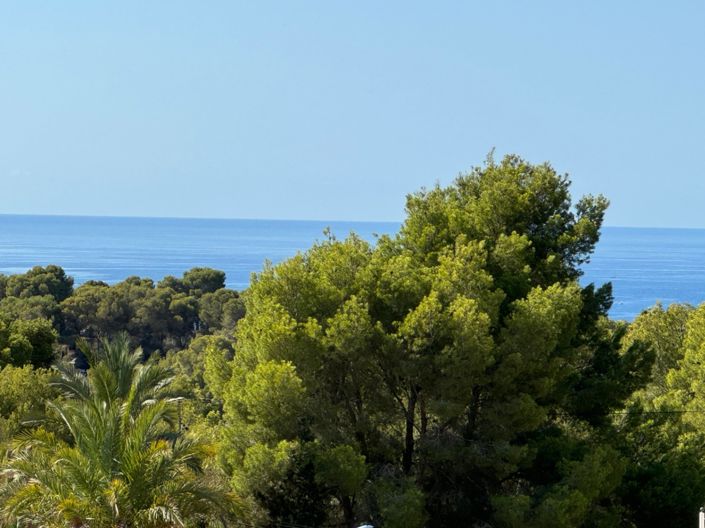 Image No.43-4 Bed Villa for sale