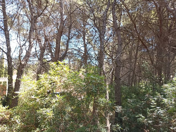 Image No.4-Plot for sale