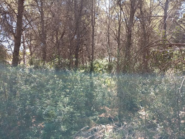 Image No.6-Plot for sale