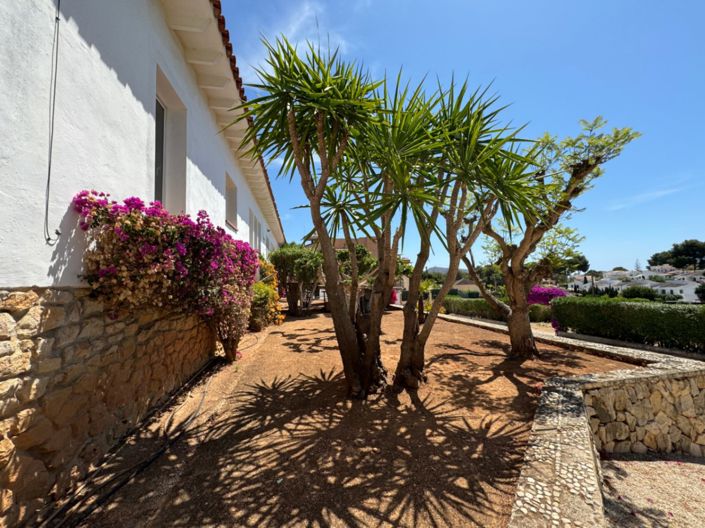 Image No.26-9 Bed Villa for sale