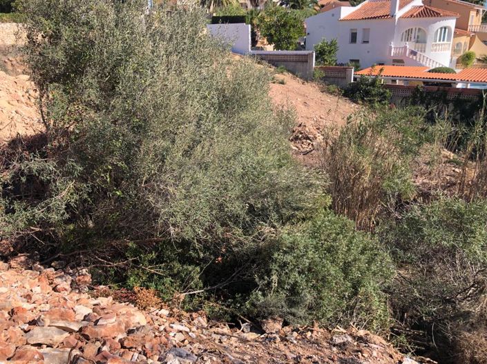 Image No.9-4 Bed Villa for sale