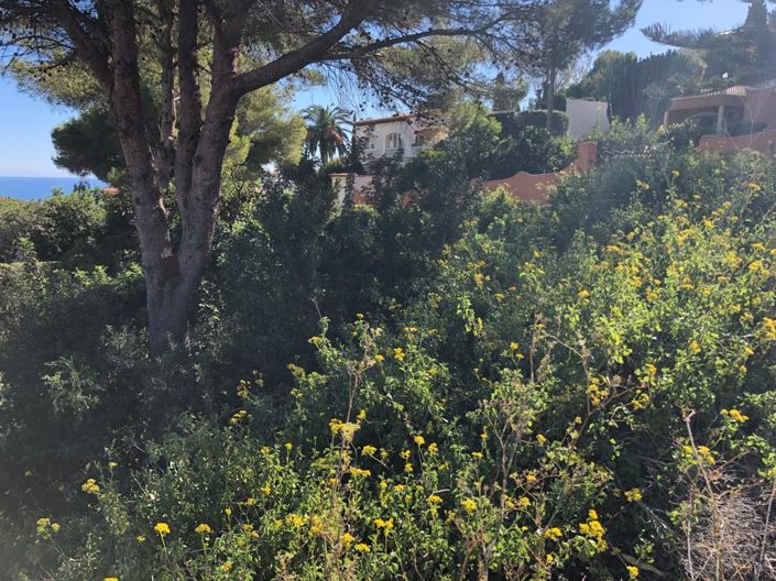 Image No.5-Terrain à vendre à Benitachell