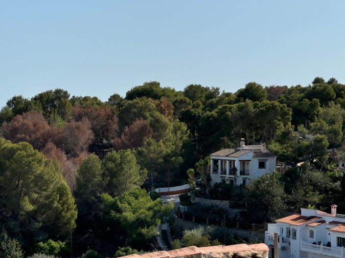 Image No.13-Terrain à vendre à Benissa