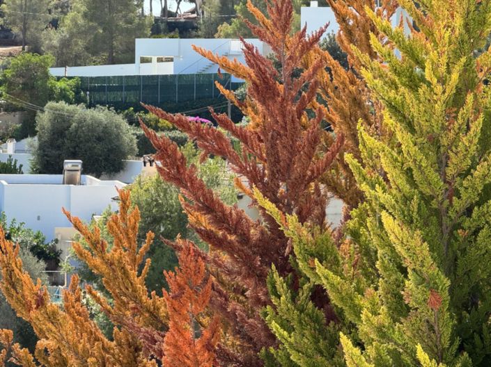 Image No.16-Terrain à vendre à Benissa