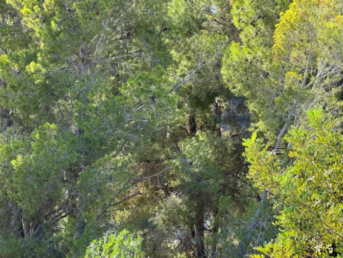 Image No.17-Terrain à vendre à Benissa