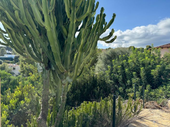 Image No.7-Terrain à vendre à Benissa