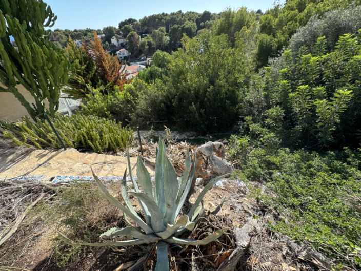 Image No.9-Terrain à vendre à Benissa