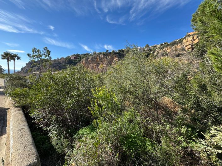 Image No.10-Plot for sale