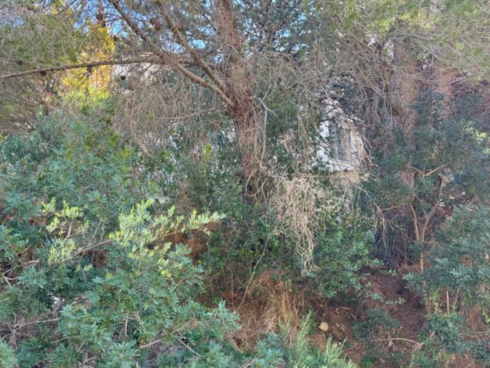 Image No.12-Plot for sale