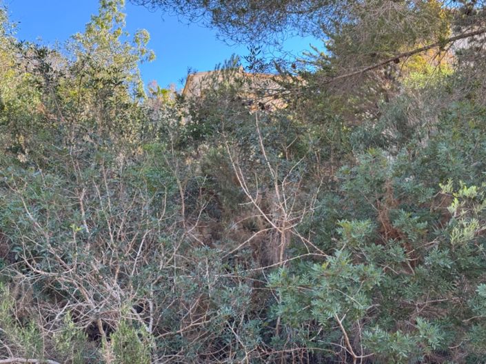 Image No.13-Plot for sale