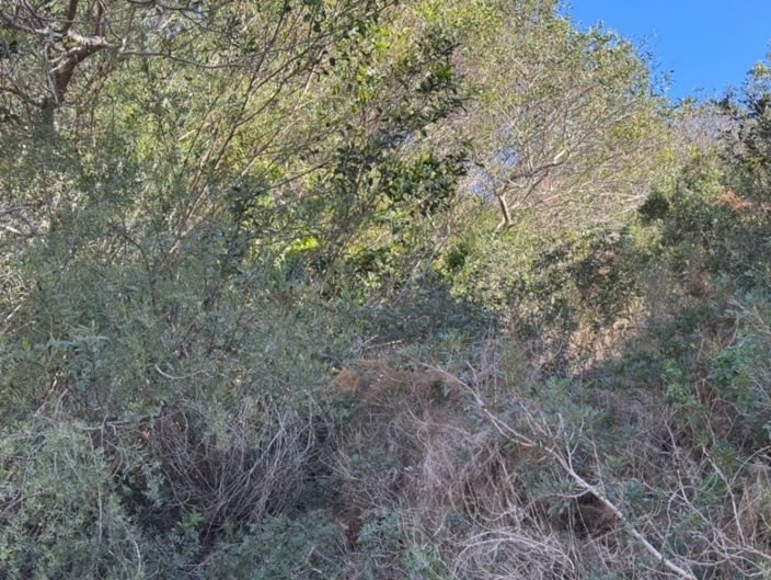 Image No.14-Plot for sale