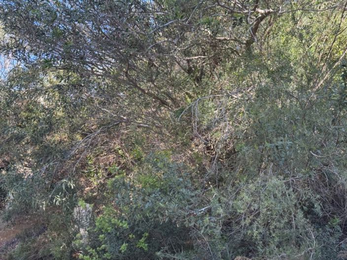 Image No.15-Plot for sale