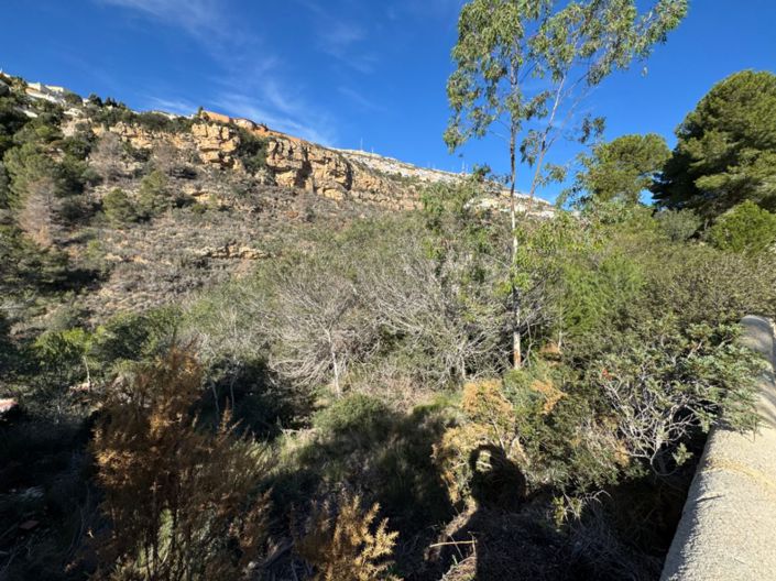 Image No.3-Plot for sale