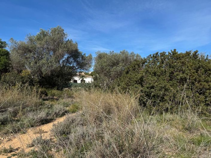 Image No.24-Plot for sale