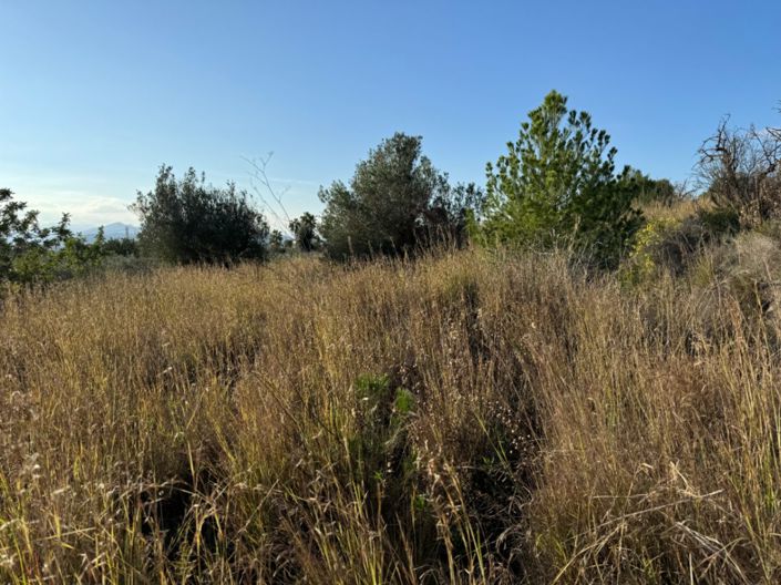 Image No.27-Finca de 3 chambres à vendre à Javea