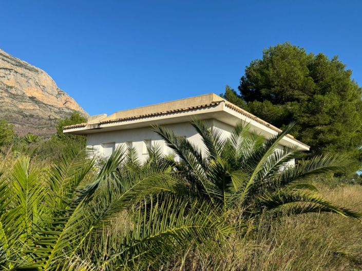 Image No.30-Finca de 3 chambres à vendre à Javea