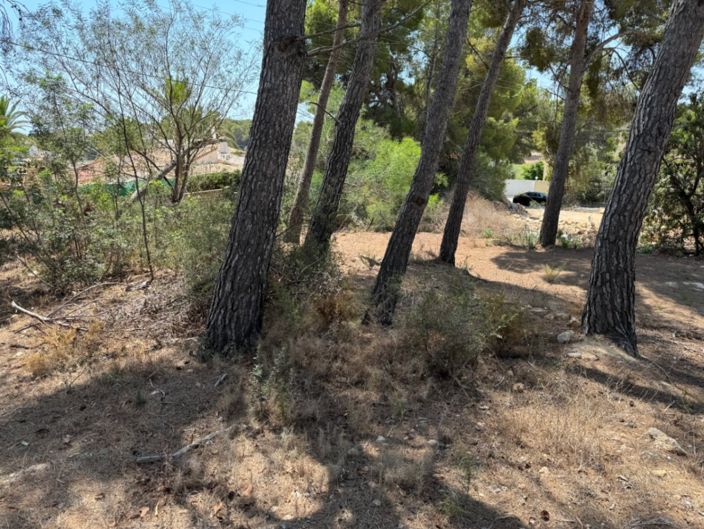 Image No.8-Terrain à vendre à Moraira