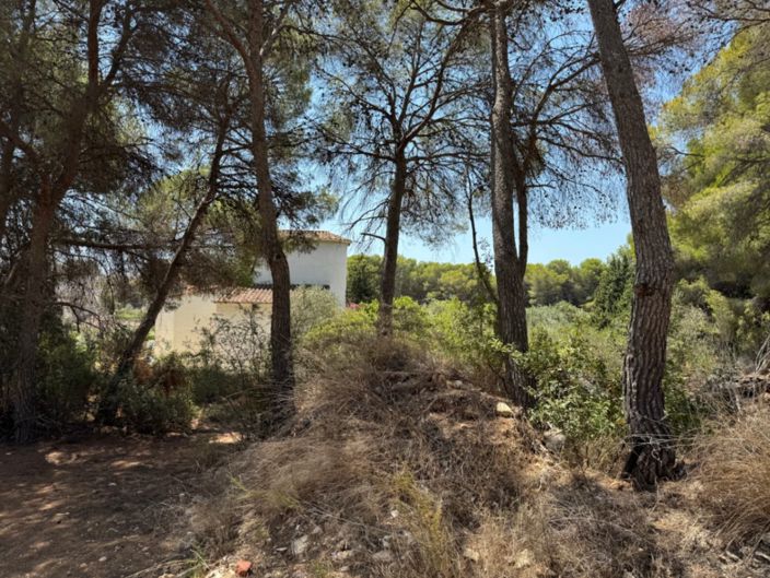 Image No.16-Plot for sale